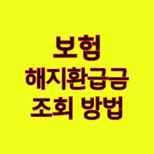 보험 해지환급금 조회 방법