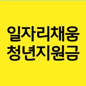 일자리 채움 청년지원금