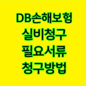 DB손해보험-실비청구