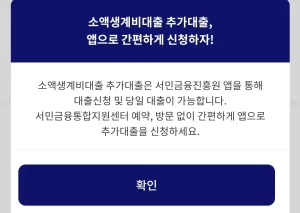 추가 대출