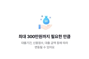 최대 300만 원까지