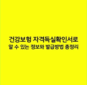 건강보험 자격득실확인서로 알 수 있는 정보와 발급방법 총정리