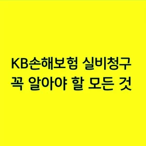 KB손해보험 실비청구 꼭 알아야 할 모든 것