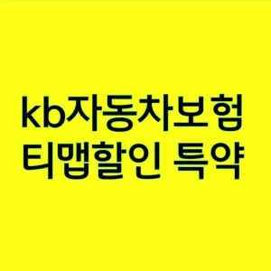 kb자동차보험 티맵할인 특약