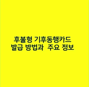 후불형 기후동행카드 발급 방법과  주요 정보