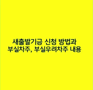 새출발기금 신청 방법과 부실차주, 부실우려차주 내용