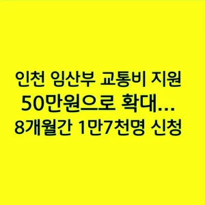 인천 임산부 교통비 지원 50만원으로 확대...8개월간 1만7천명 신청